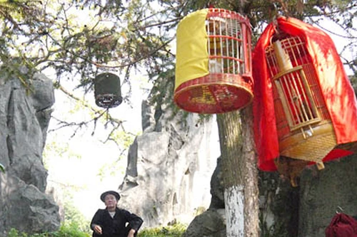 “Hội chọi mi” trên Cao nguyên đá