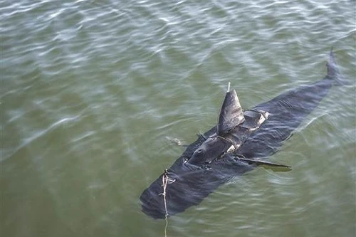 Mỹ có robot "cá mập", cực khó phát hiện