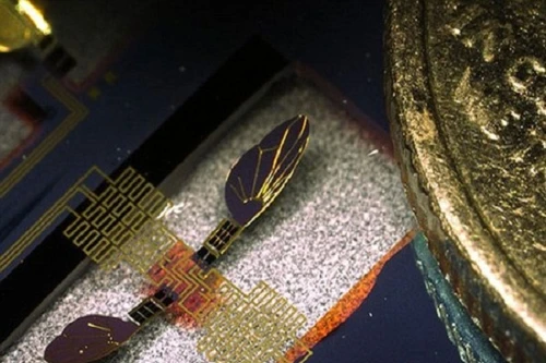 Mỹ chế tạo ruồi máy gián điệp như phim khoa học viễn tưởng