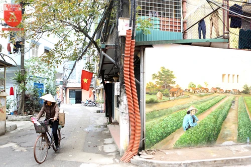 Hoài niệm về làng rau húng Láng trên những bức tường