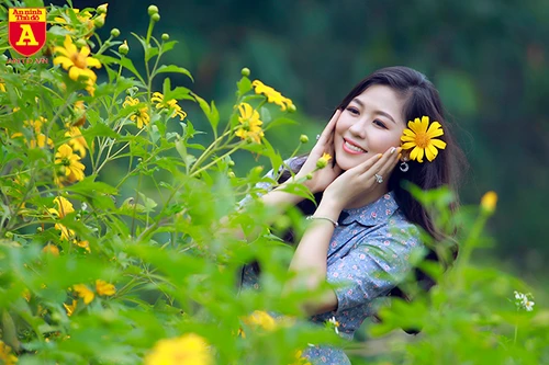 Giới trẻ "phát cuồng" với thảm hoa dã quỳ giữa lòng Hà Nội