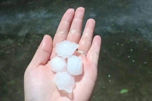 Mưa giông cực lớn, Hà Nội xuất hiện mưa đá, cây cối gãy đổ la liệt