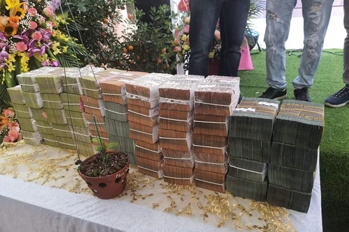 Hà Nội: Mua bán lan đột biến giá trị đặc biệt lớn, phải xác minh nguồn tiền giao dịch