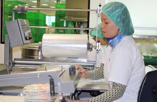 Ưu tiên số một cho sản xuất, kinh doanh