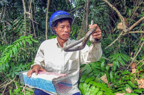 Covid-19: Ông Thép làm nghề bẫy rắn đề nghị không phân biệt khi hỗ trợ lao động tự do