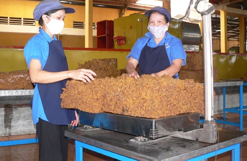 Cân nhắc kéo dài tuổi nghỉ hưu