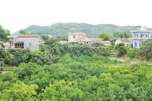 Đem thẻ đảng viên thế chấp vay tiền, nguyên Bí thư xã bị khai trừ ra khỏi Đảng