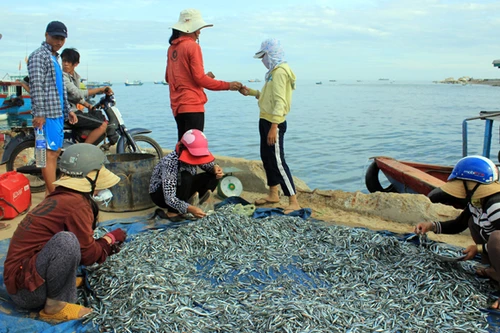 Chức năng của Tổng cục Biển và Hải đảo Việt Nam