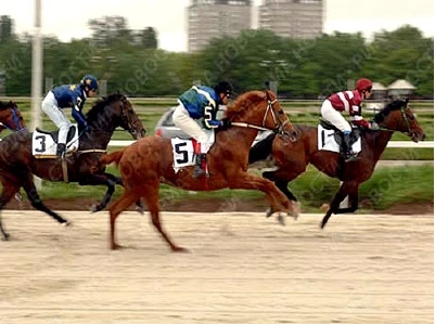 Đề xuất cho cá cược tới 1 triệu đồng