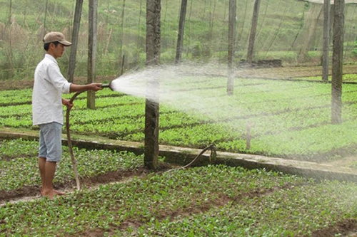 Loạn thị trường thuốc bảo vệ thực vật