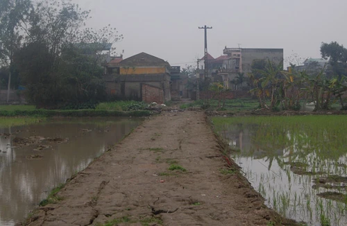 Khởi tố vụ án chống người thi hành công vụ tại cánh đồng Soi