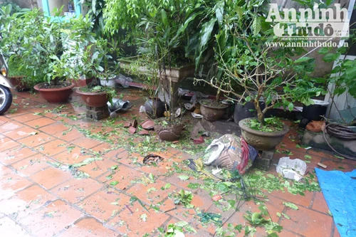 Ném mìn vào sân làm cả khu náo loạn