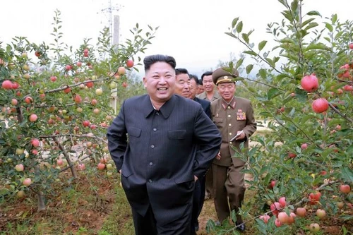 Nhật Bản - Hàn Quốc áp đặt lệnh trừng phạt đơn phương lên Triều Tiên