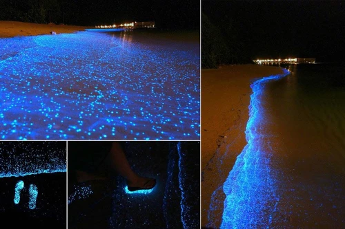 Bí ẩn về bãi biển huyền ảo đến vô thực, được ví như dải Ngân hà