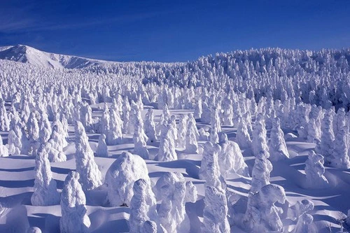 Khám phá những kỳ quan bí ẩn của thế giới 