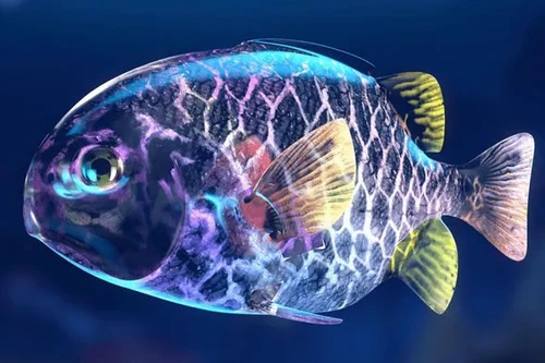 Loài cá giống như "chiến binh" có khả năng phát sáng để săn mồi