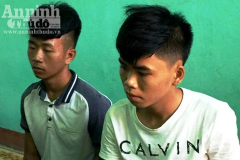 Hai thanh niên rủ nhau giật túi xách để có tiền tiêu xài