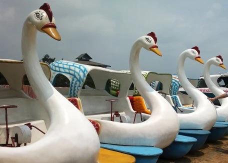 Hồ Núi Cốc: Bến tầu triệu đô đang “mắc cạn”