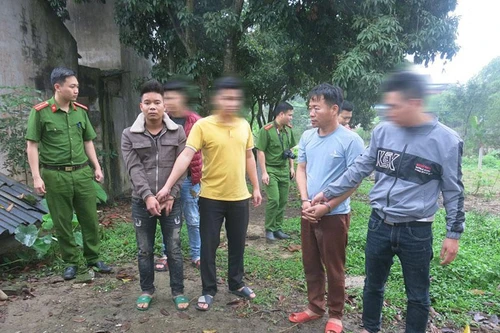 Trộm cắp 5 con trâu đi bán lấy tiền ăn tiêu