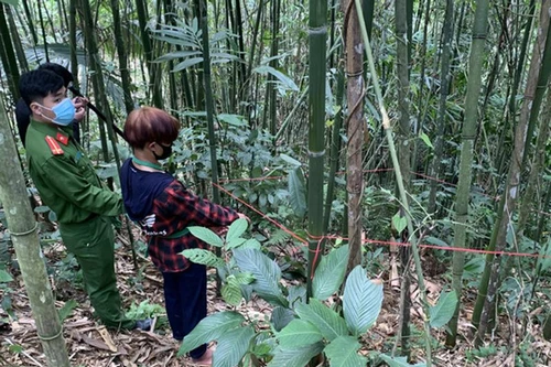 Anh mang em trai 3 tuổi cùng cha khác mẹ vào rừng sát hại vì chuyện chia đất