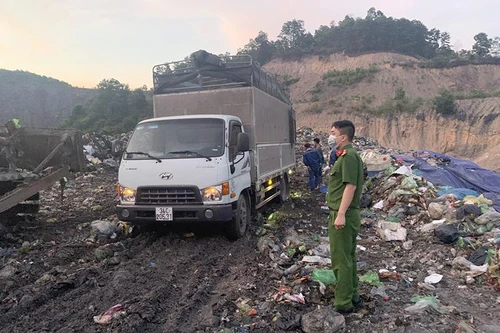 Tiêu hủy hơn 28.000 con giống gia cầm nhập lậu