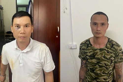 Bộ đôi chuyên trộm cây cảnh sa lưới