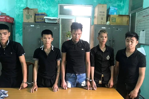 Bắt giữ nhóm đối tượng chuyên trộm cây cảnh