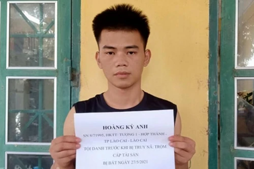 Bắt giữ đối tượng truy nã về tội trộm cắp tài sản