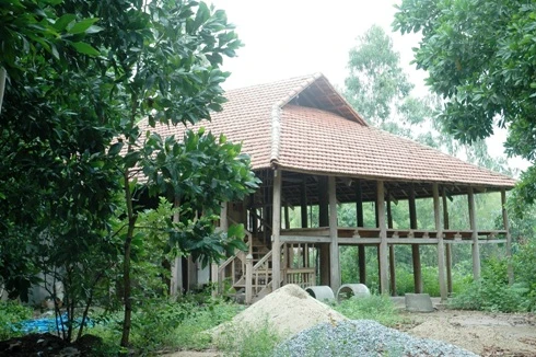 Xử lý triệt để sai phạm, không dung túng bao che 