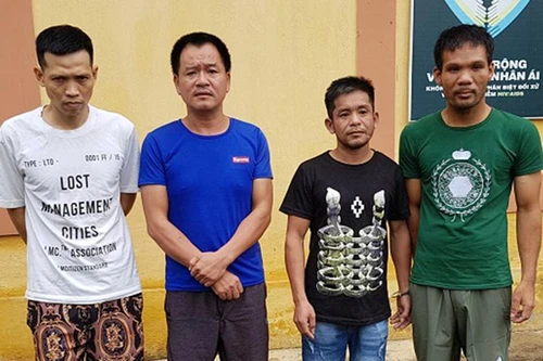 Khởi tố nhóm đối tượng đánh bạc dưới hình thức chơi liêng ăn tiền