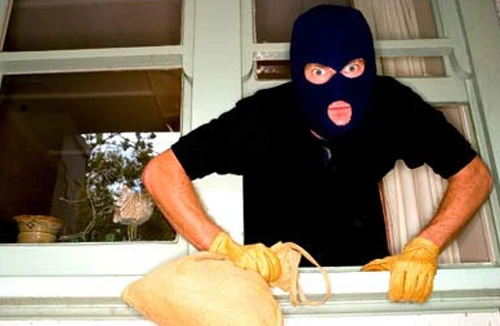 Bắt sống người nhện "kiếm ăn" lúc rạng sáng