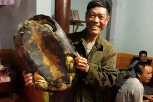 Người dân bắt được rùa "khủng" nặng 16kg