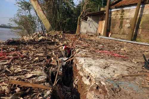 Hà Nội công bố tình huống khẩn cấp sạt lở đê ở Phúc Thọ và Mê Linh