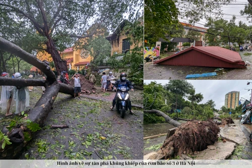 Hình ảnh về sự tàn phá khủng khiếp của cơn bão số 3 ở Hà Nội