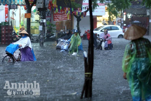 Hà Nội ứng phó với mưa đá, mưa lớn kèm lốc theo phương châm "4 tại chỗ"