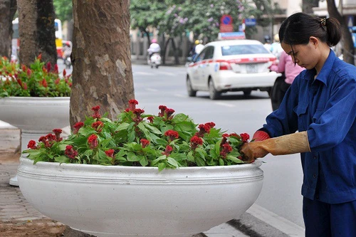 Hà Nội: Trang trí đường phố chào mừng các sự kiện lớn phải tiết kiệm, hiệu quả