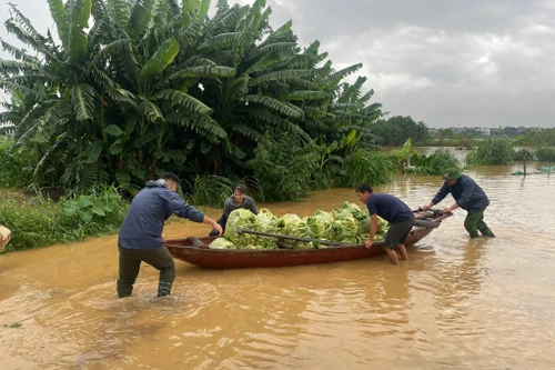 Xã đảo Minh Châu (Hà Nội) xuyên đêm chống lũ, di dời người dân đến nơi an toàn