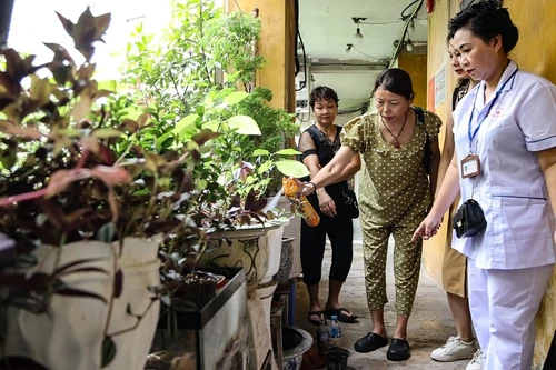Hà Nội yêu cầu xã phường mở "chiến dịch" diệt lăng quăng phòng sốt xuất huyết