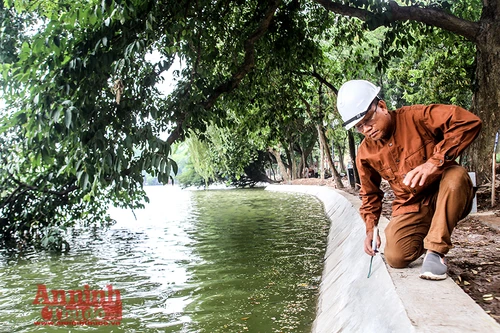 [ẢNH] Hoàn thành "áo mới" cho kè hồ Gươm