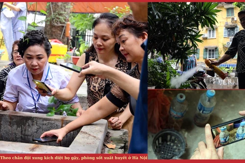 Theo chân đội xung kích diệt bọ gậy, phòng sốt xuất huyết ở Hà Nội