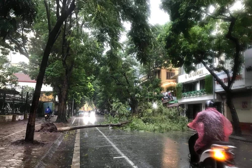 Hà Nội chỉ đạo hỏa tốc các đơn vị y tế trực cấp cứu 24/24h ứng phó bão số 3