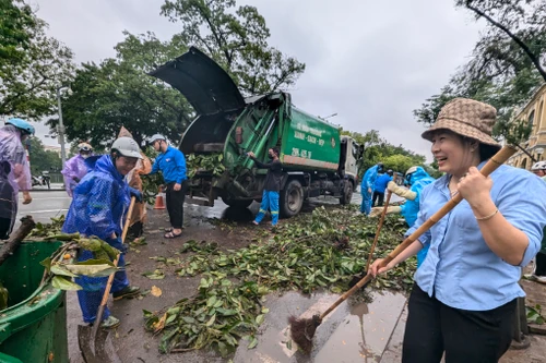 Hà Nội huy động xe tải của doanh nghiệp vào dọn dẹp cây đổ sau cơn bão số 3