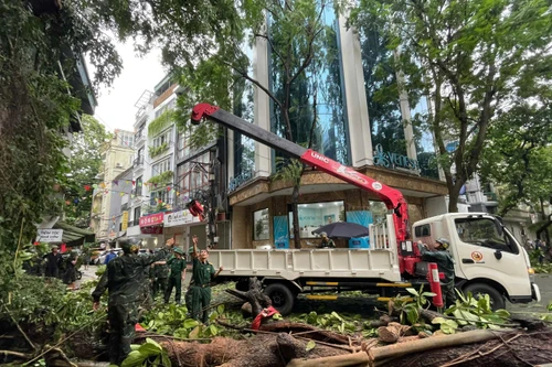 Chủ tịch Hà Nội chỉ đạo hỏa tốc về việc xử lý cây xanh gãy, đổ sau cơn bão số 3