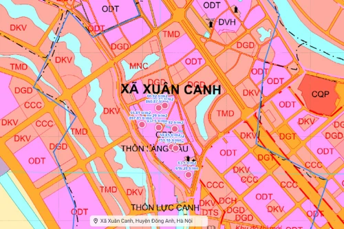 Sẽ đấu giá hơn 5.000m2 đất ở tại xã Xuân Canh, huyện Đông Anh
