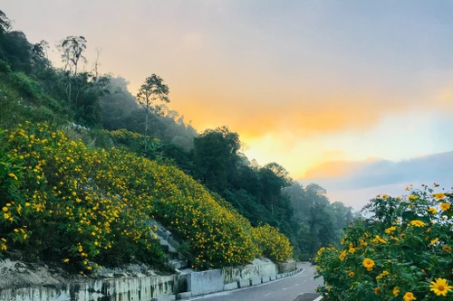 Hà Nội: Cải tạo, nâng cấp đường từ Tỉnh lộ 414 đi vườn quốc gia Ba Vì