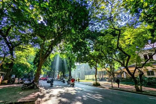 Ngắm Hà Nội đẹp như tranh vẽ trong nắng Thu