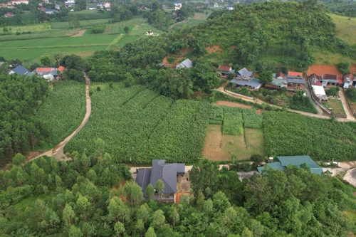 Hà Nội chỉ đạo kiểm tra thông tin báo chí phản ánh nguy cơ sạt lở ở xã Ba Vì