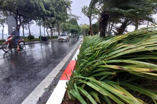 Chủ tịch Hà Nội chỉ đạo khẩn trương triển khai ứng phó siêu bão Ragasa