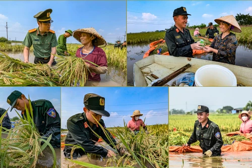 Chiến sỹ Công an Hà Nội tiếp tục dầm mình trong nước ngập, cùng dân cứu lúa 