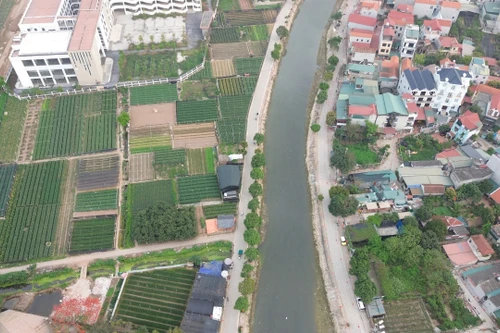 Hà Nội: Khẩn trương làm rõ tình trạng ô nhiễm nghiêm trọng nguồn nước sông Pheo